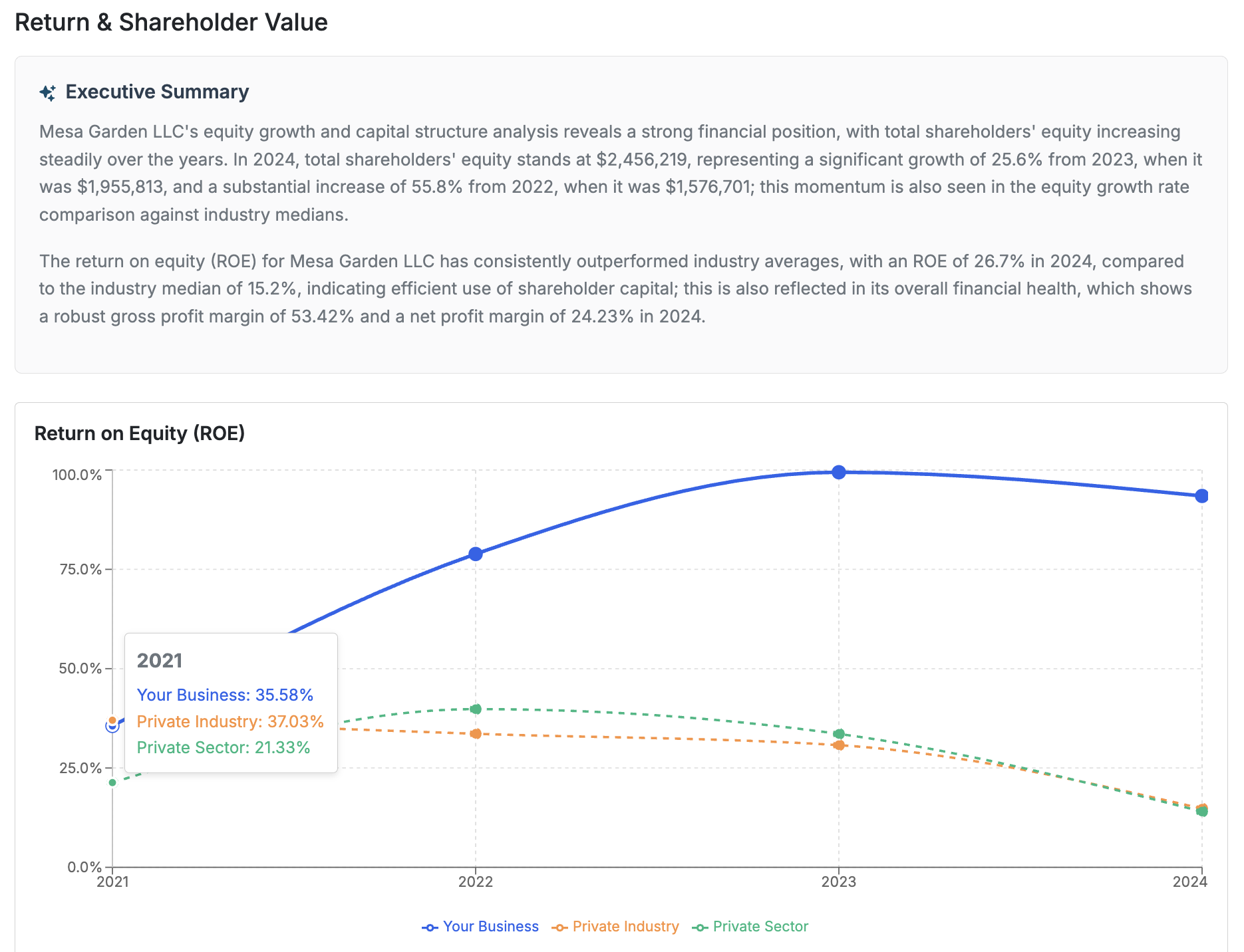 Hyperion return and shareholder value analysis dashboard